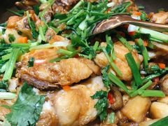 -欧记·龙城港(欣都店)