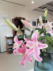 点击看大图 -FineYoga梵音瑜伽·普拉提