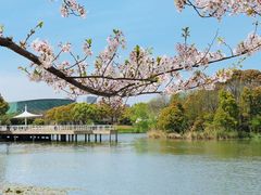 -新江湾城公园
