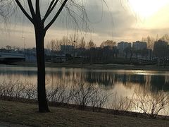 -北龙湖湿地公园