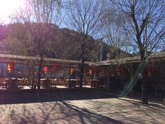 -龙福源密云水库灶台鱼