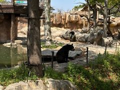 -上海野生动物园