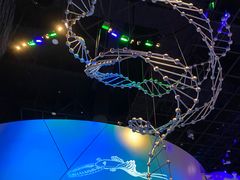 -贝林大翅鲸简餐厅(国家海洋博物馆店)