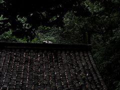 -法云安缦酒店