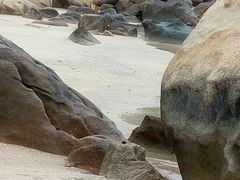 -那琴半岛地质海洋公园