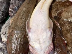 -木柴豆腐·活海鲜·鲁菜
