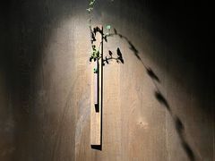 -木守西溪溪隐餐厅