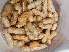 煮花生-京B·东篱精酿啤酒音乐餐厅