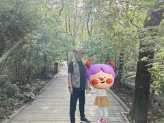 -丹东凤凰山景区