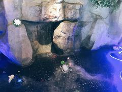 -香山湖家家宴(中山陵店)