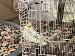 -上海大自然野生昆虫馆