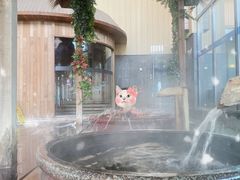 -嘉佑温泉水世界