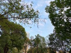 -后襄河公园