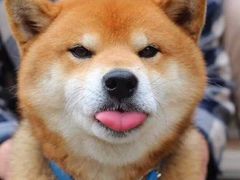 -宝德龙游泳健身