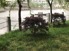 -孺子亭公园