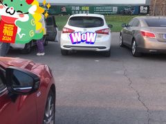 -枫花园汽车电影院(朝阳公园店)