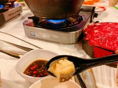 -鲜入围煮花胶鸡海鲜火锅