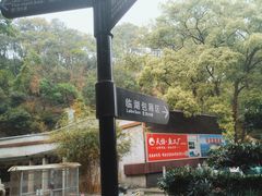-天怡·鱼工厂(梅溪湖店)