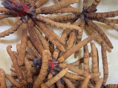 -回收名酒洋酒烟酒冬虫夏草礼品(上海总店)