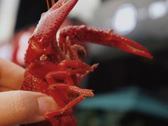 -二钳洞庭虾蟹·江湖菜(成都鹭岛店)