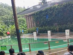 -贵州森林野生动物园