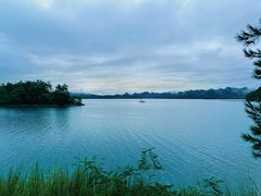 -千岛湖安岚·湖景全日餐厅