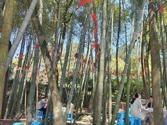 -金水泊山庄·花椒鸡(铁山坪店)