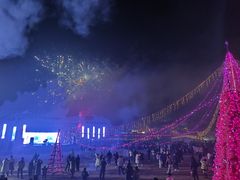 -大塘金香草谷