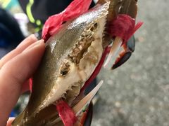 -霞涌市场海鲜摆卖区