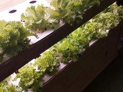 菌汤-满堂欢豆捞坊(美丽华大酒店店)