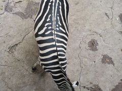 -长鹿旅游休博园