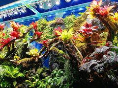 -海合安青岛极地海洋公园
