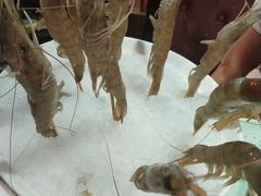 -洪焱重庆老火锅(万福花园店)