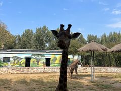 -北京野生动物园