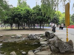 -祥源·阜阳生态乐园