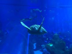 -成都浩海立方海洋公园