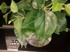 -德全心悦酒店(北京金台路地铁站店)