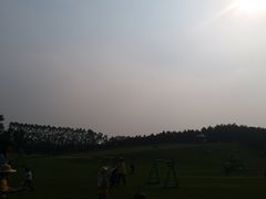 -迪茵湖田家舍生态农场