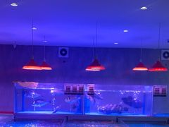 -金成潮菜博物馆(海珠湿地店)