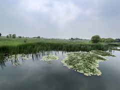 -苏州太湖湖滨国家湿地公园