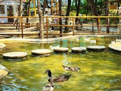 -南戴河国际娱乐中心