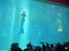 -福州罗源湾海洋世界旅游区