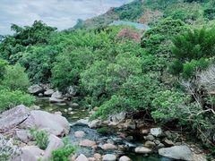 -海南热带雨林国家公园吊罗山景区