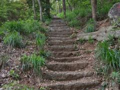 -青龙山国家森林公园