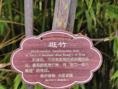 -个园