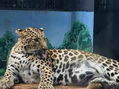 -昆明动物园