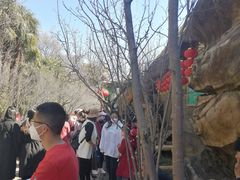 -昆明动物园