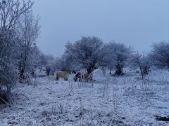 -太子岭滑雪场