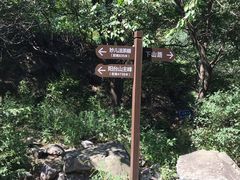 -阳台山自然风景区