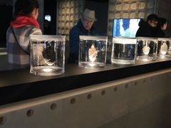 -现代汽车文化中心 Hyundai Motorstudio Beijing